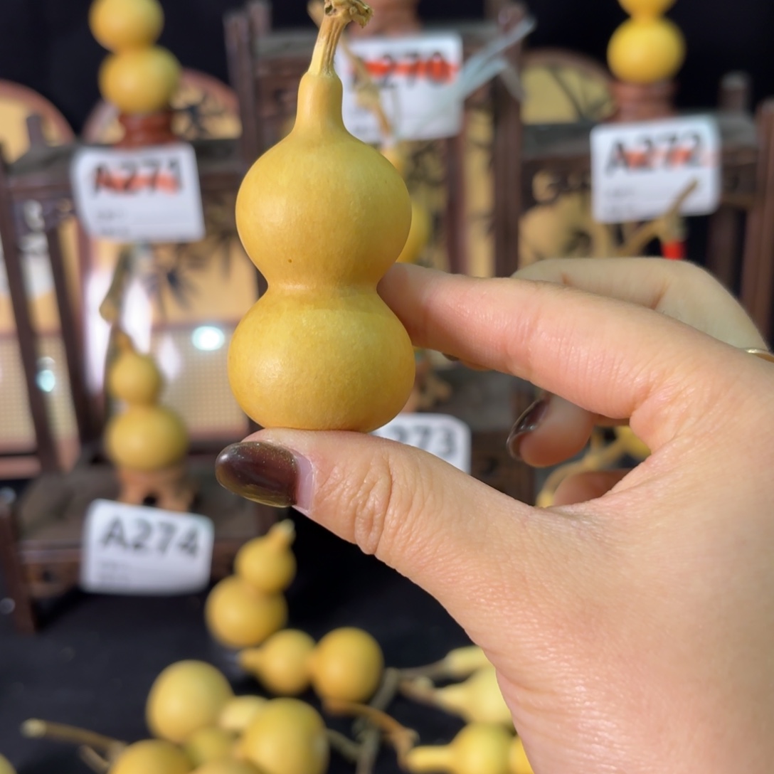 贵***，我也不知道我为什么