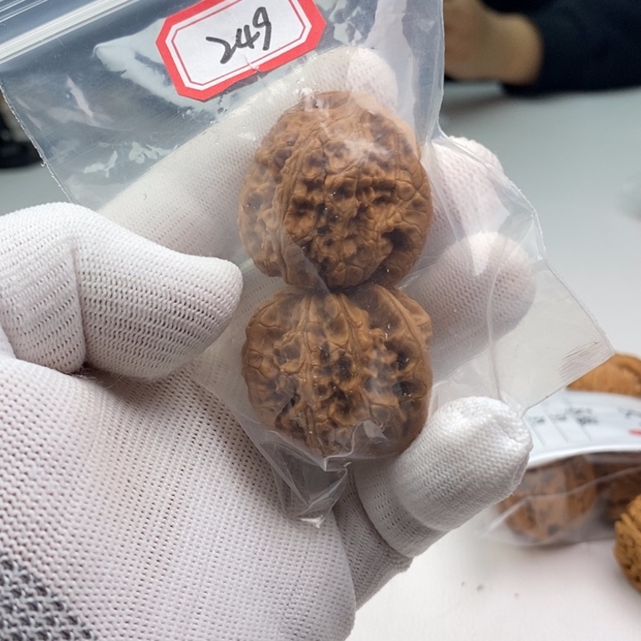 文玩核桃把件z*龙洞峪249