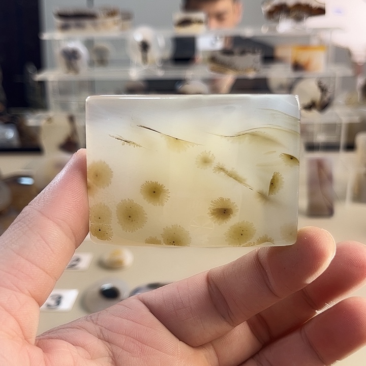 玛瑙/玉髓吊坠(不含链)未镶嵌