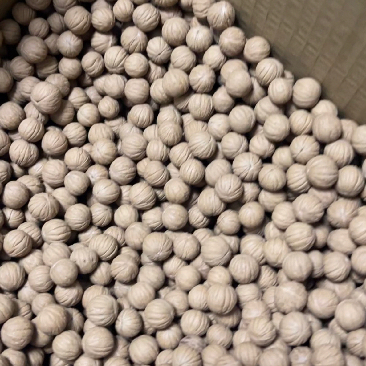 猴头小馒头散籽文玩核桃原皮原色散籽未打孔适合盘玩