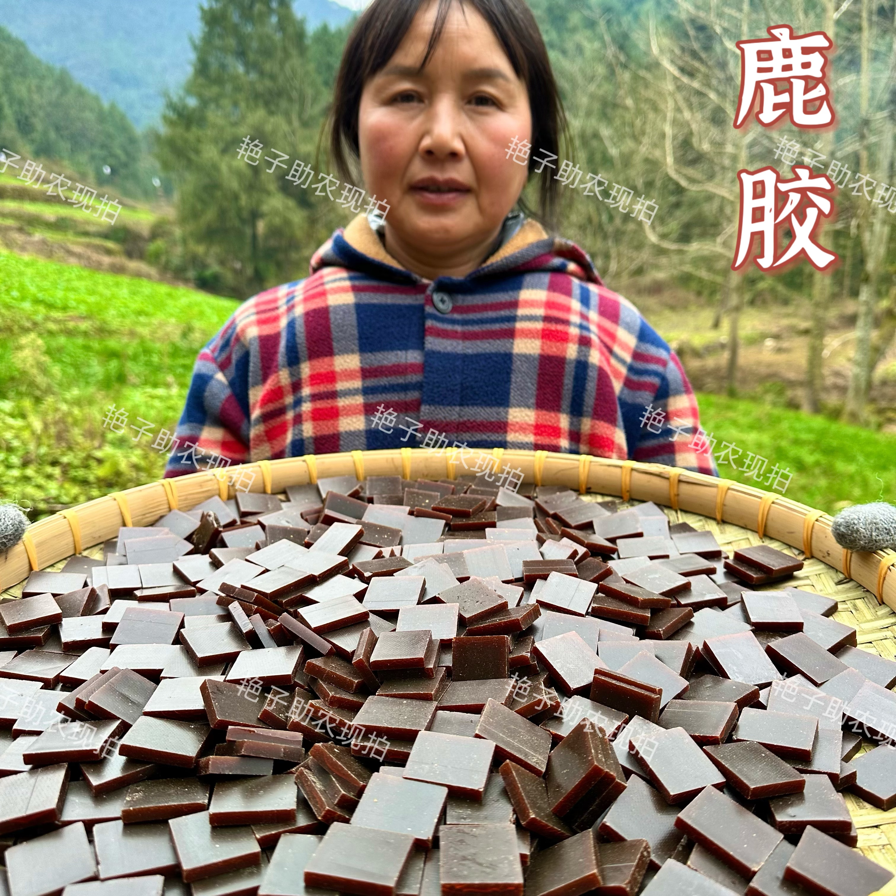 【现收鹿胶】鹿皮熬制