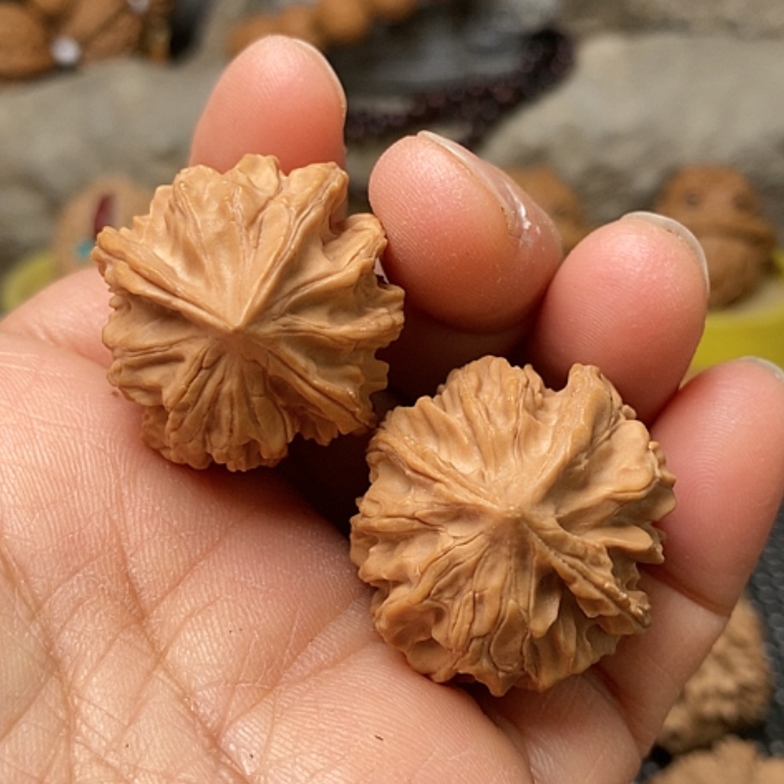 【闪购商品】把件文玩核桃三棱手捻31