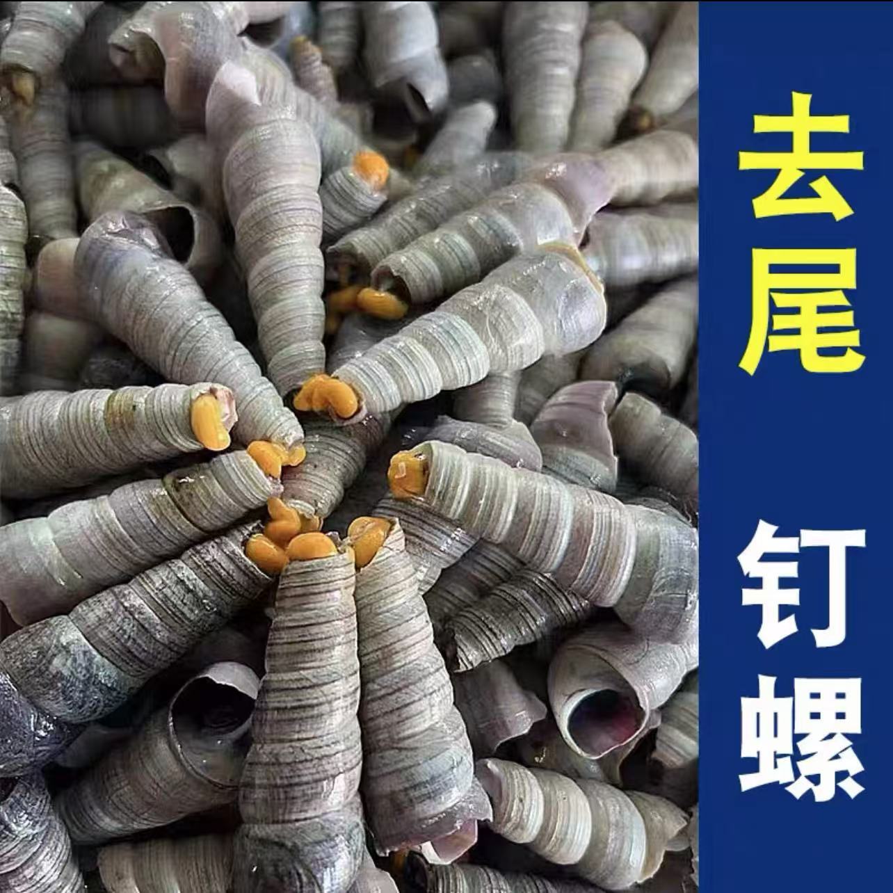 大连本地钉螺 4斤装  京东顺丰快递随机到家保鲜 包邮