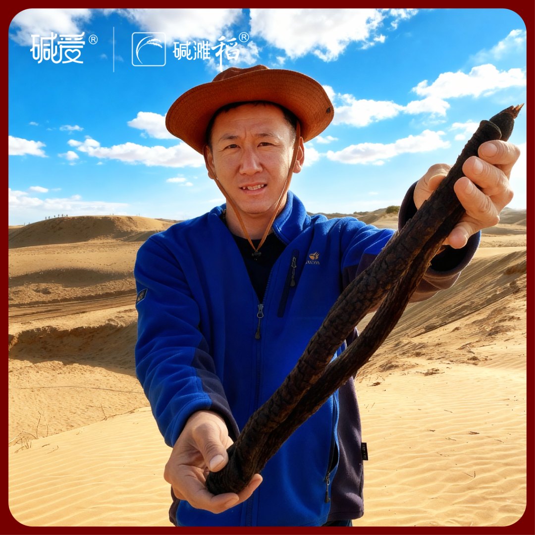 【阿拉善肉苁蓉】油干片5-10年份干货内蒙沙漠软黄金道地肉苁蓉