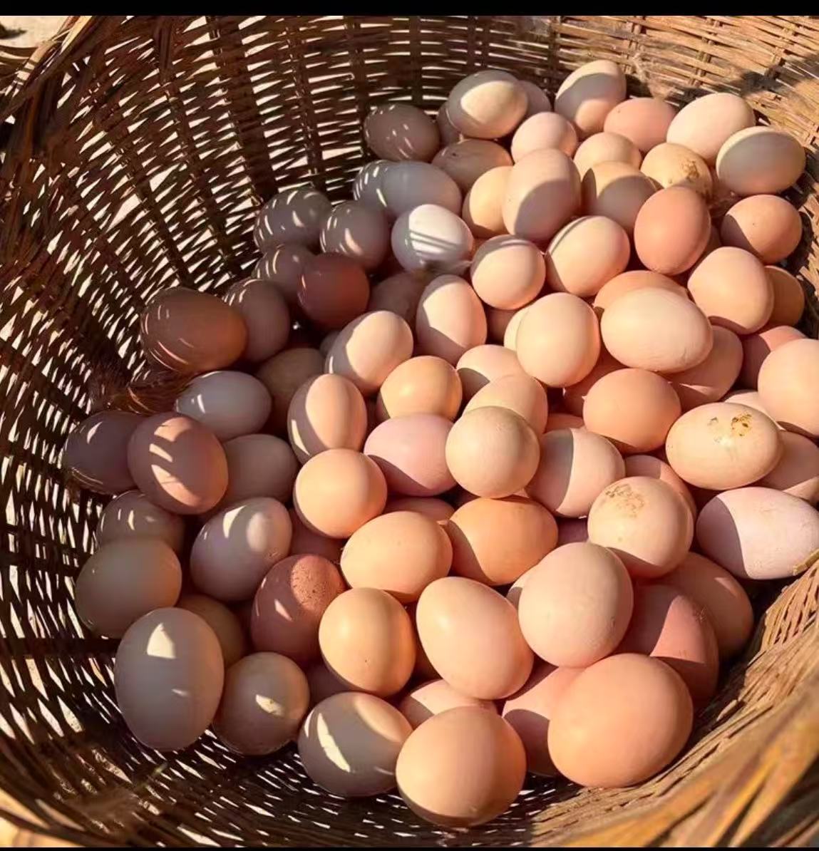 现收农家粮食土鸡蛋