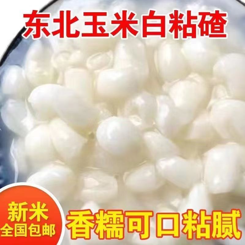 【拍一发五斤】25年东北玉米碴子批发粘玉米碴白粘玉米碴粗粮