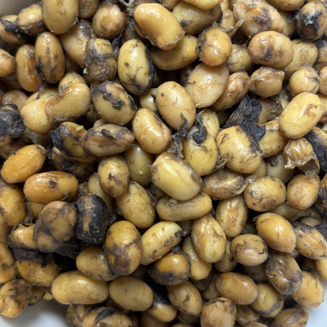 安化农家豆豉自然发酵