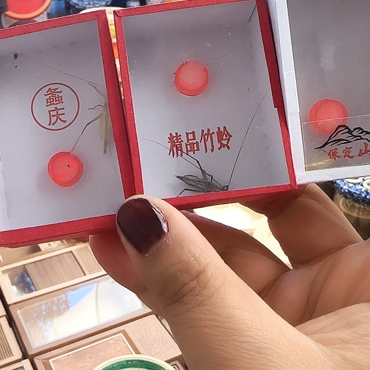 紫竹➕山竹➕柬竹啊啊啊啊
