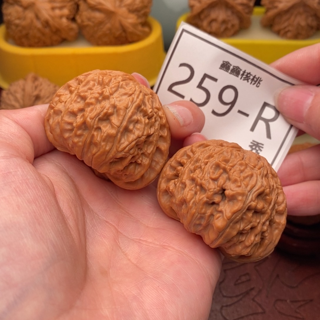 文玩核桃把件白狮45