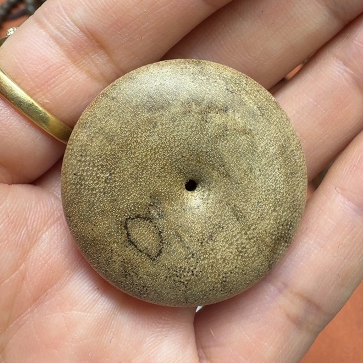 大叶紫檀（黑酸枝木类）