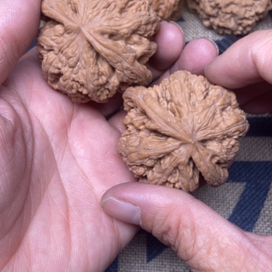 吊坠文玩核桃大粗筋