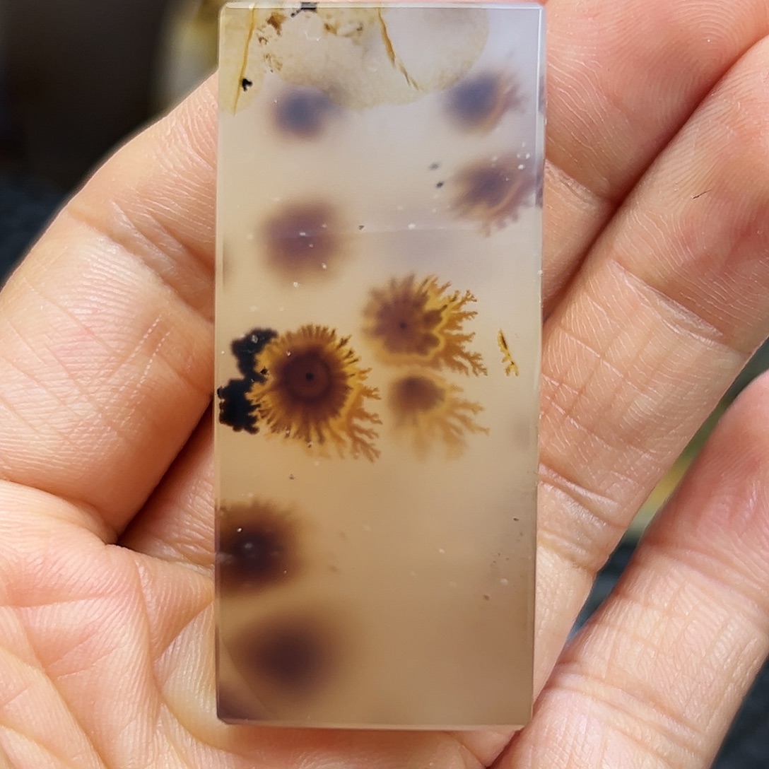 一***诺玛瑙/玉髓未镶嵌珠宝半成品