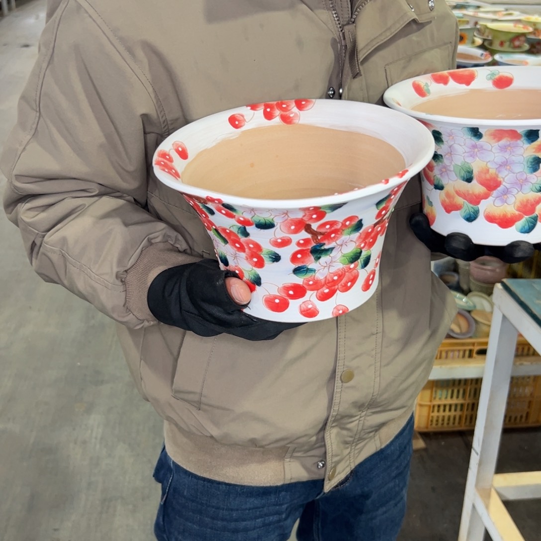 多肉精选编号0122.166