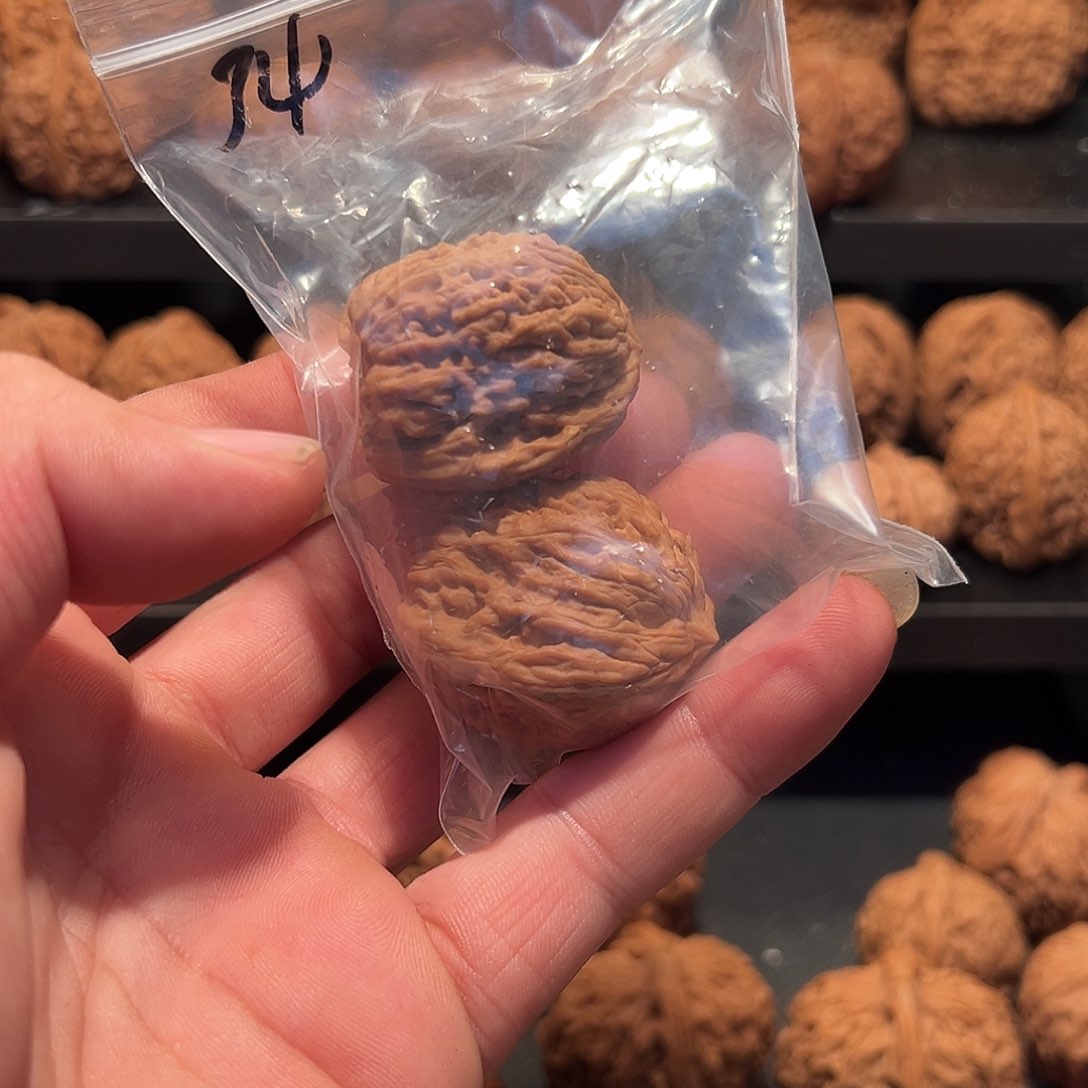 文玩核桃把件顾涿鹿南疆34