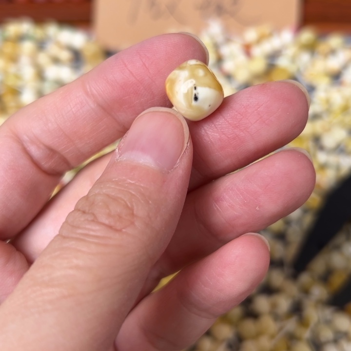 蜜蜡未镶嵌裸石11.3mm一个