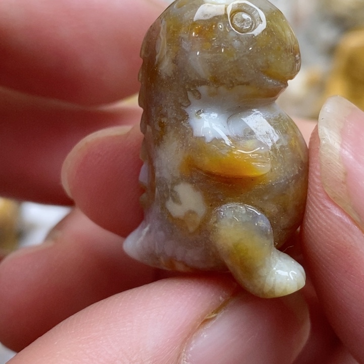 颈饰未镶嵌硅化珊瑚（珊瑚玉）有瑕 小