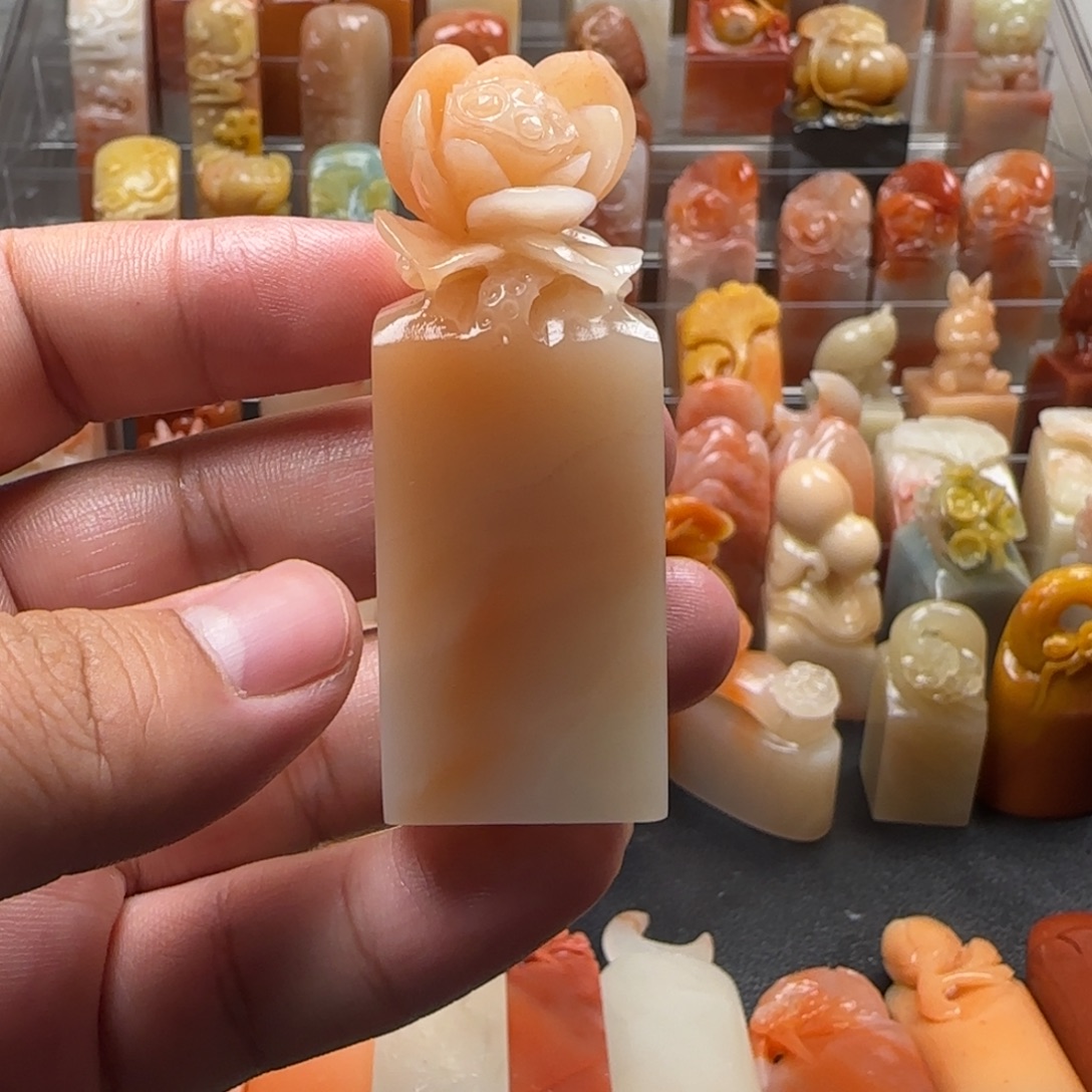 老挝石荷花  2.3×6.6