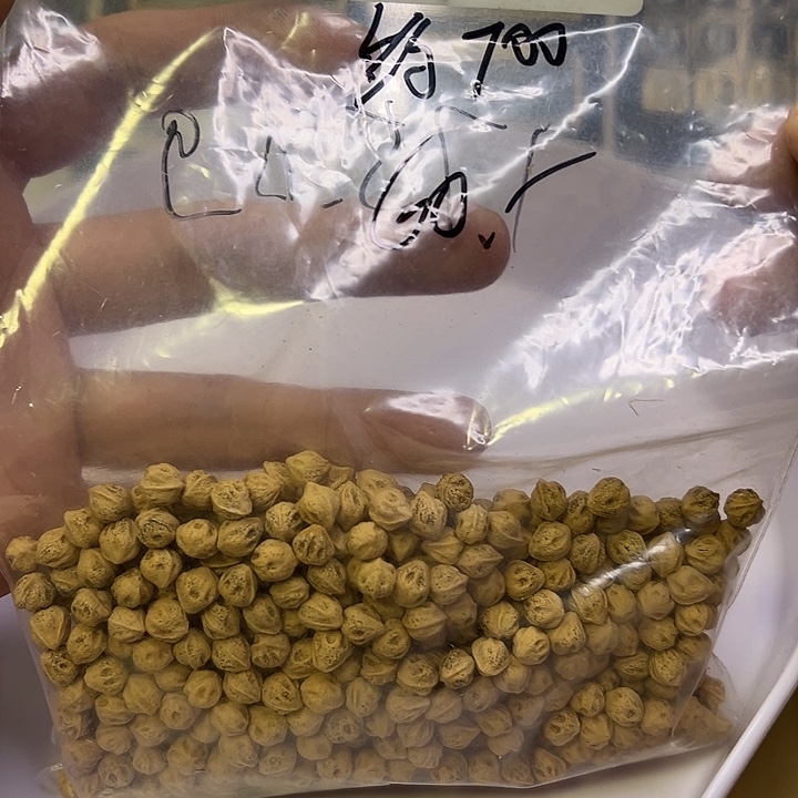 挑***看柏香籽/百香籽吊坠
