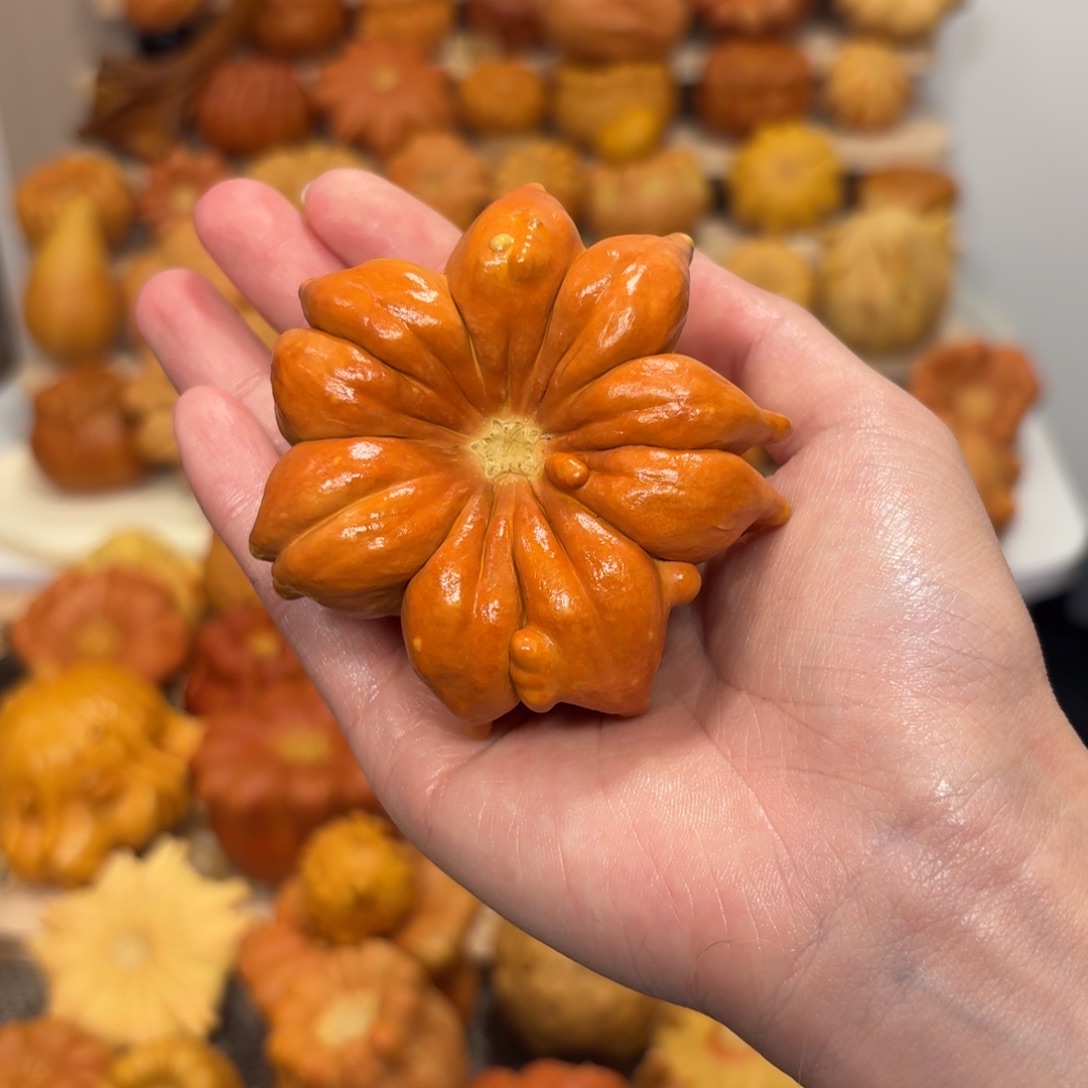 红色星星干货（有黑线）