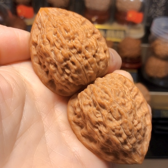 精品：蛇王一抹红