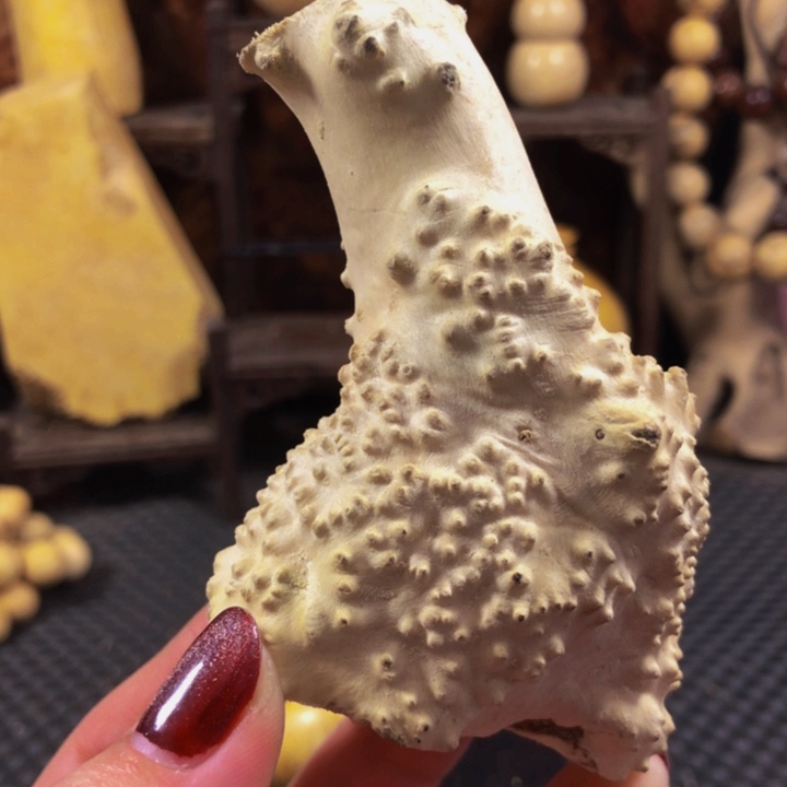 精**作木料努力努力努力