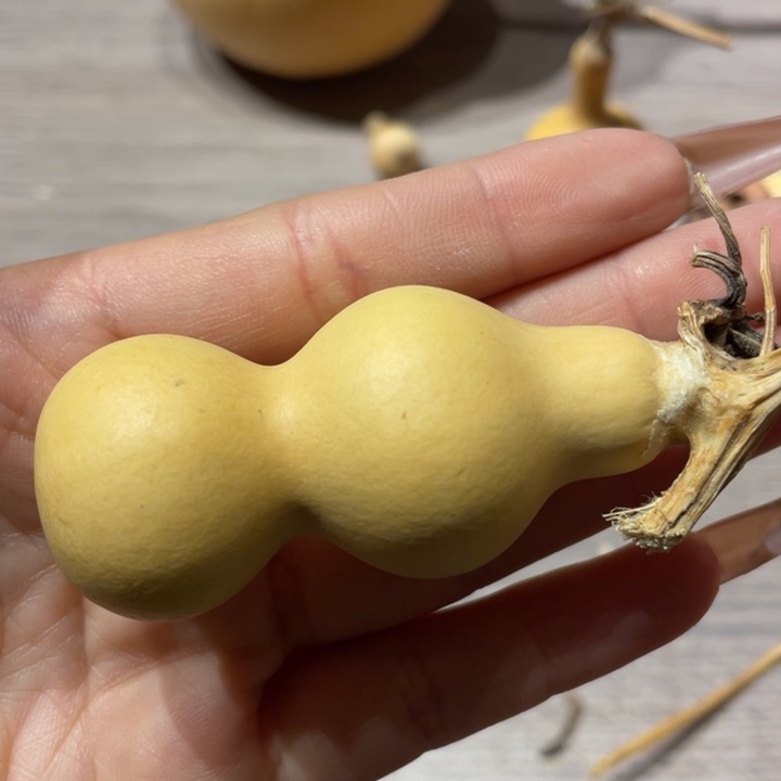 w**f粗嘴葫芦粗嘴葫芦