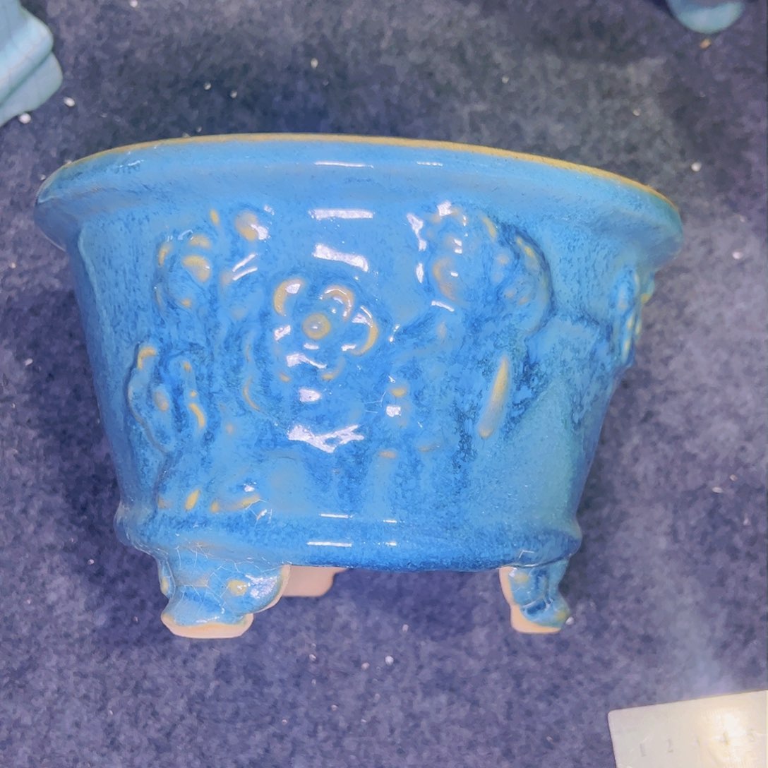 红陶今天仓播一件不留！！!