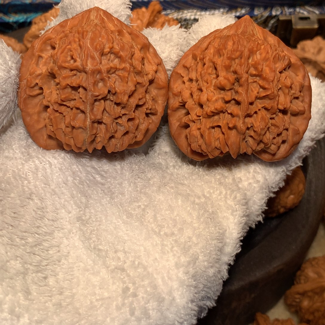 文玩核桃把件45全品 满天星