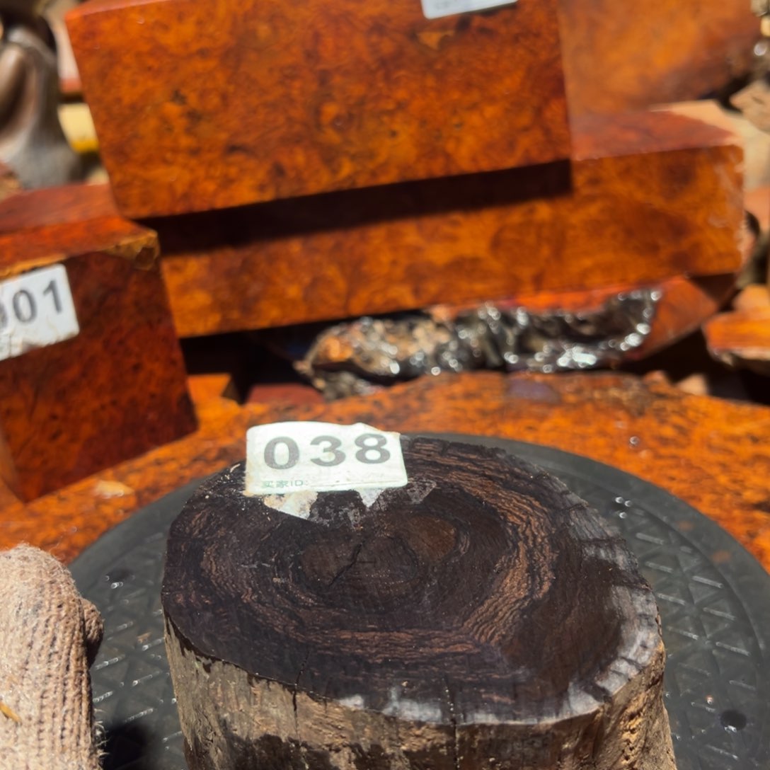 大果紫檀（缅甸花梨）