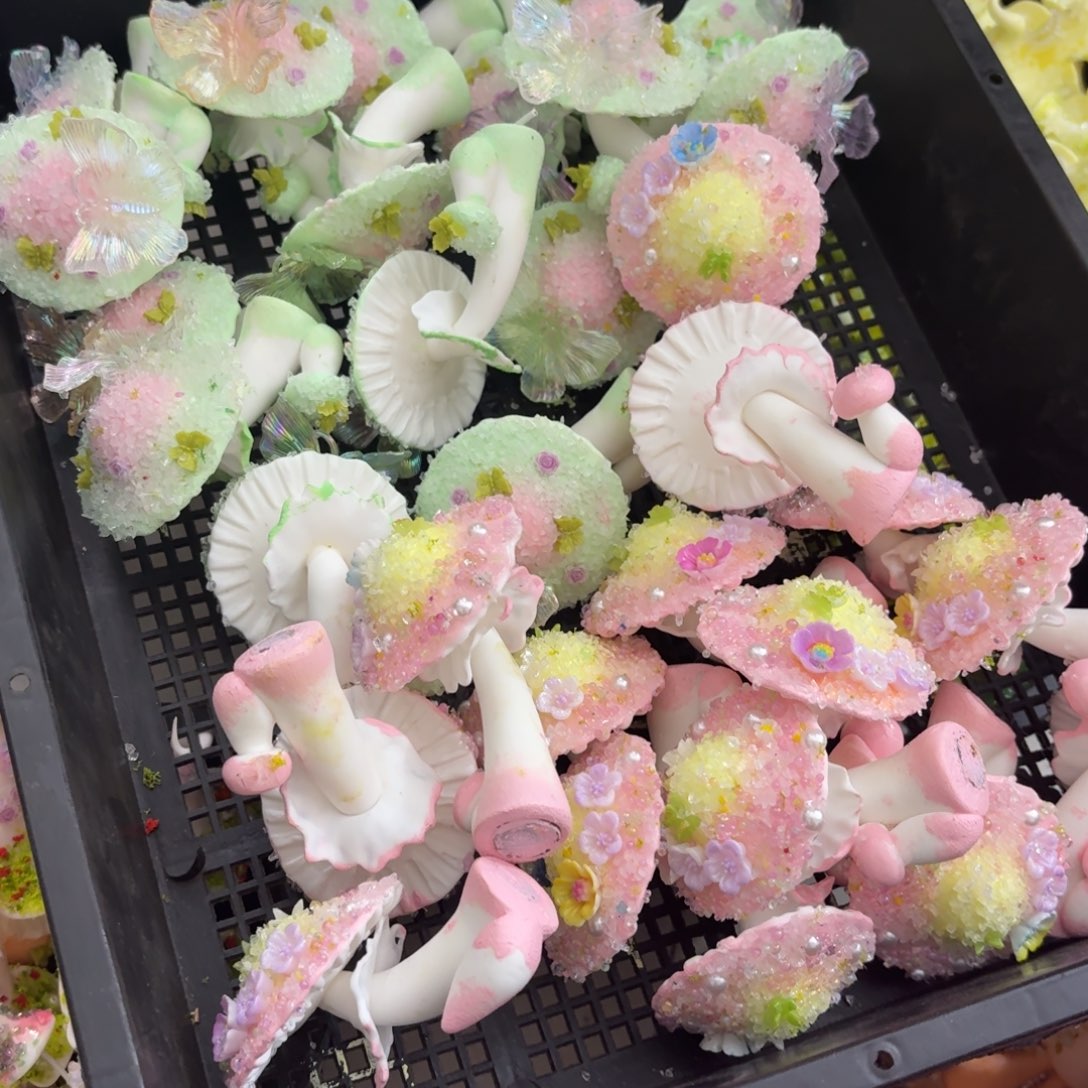 树脂56号2个哦哦哦哦哦哦哦