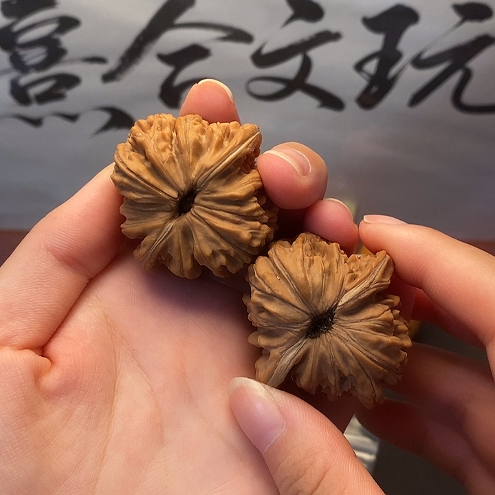 吊坠龙脊菩提40楼子福利对