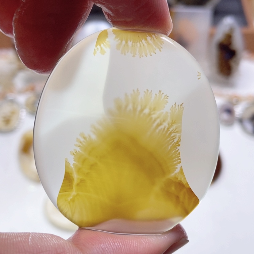 【闪购商品】玛瑙/玉髓颈饰未镶嵌