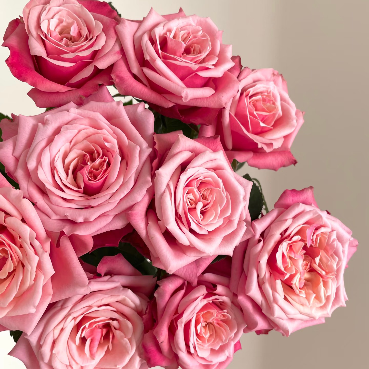 闺蜜玫瑰到头10支一份