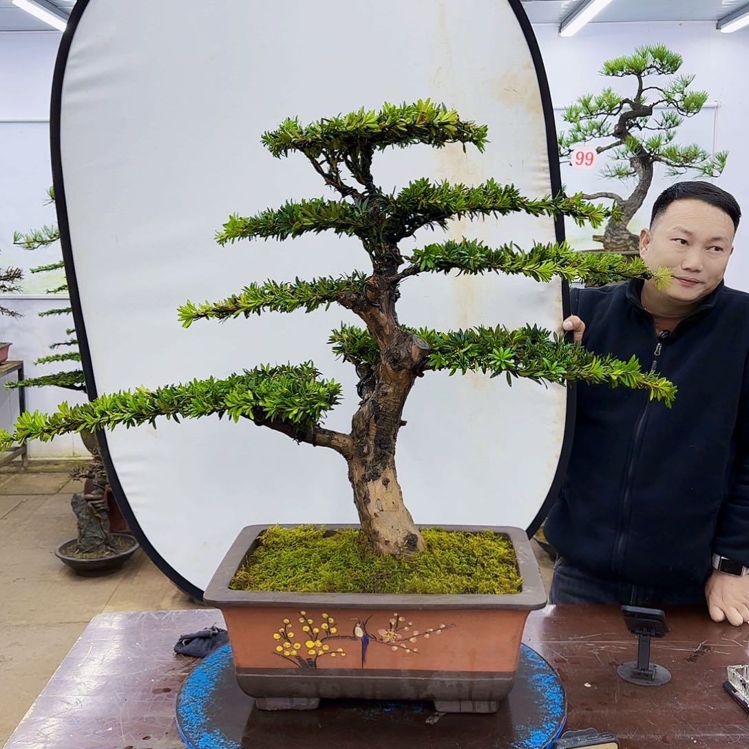 欢迎大家前来选购
