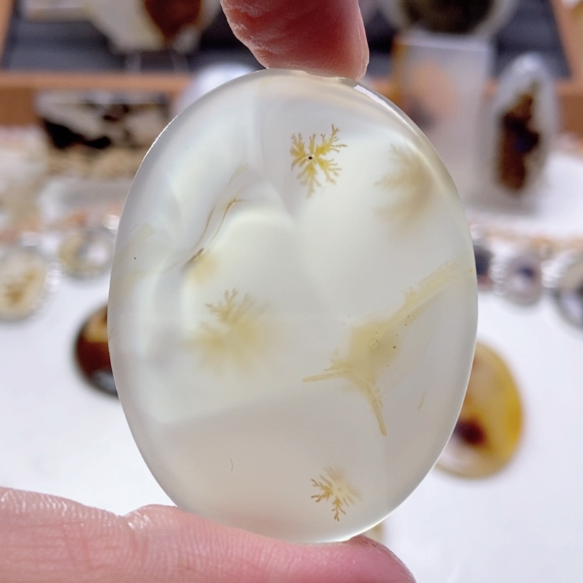 【闪购商品】玛瑙/玉髓颈饰未镶嵌