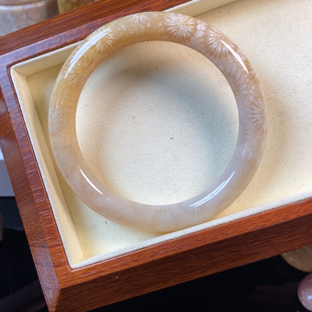 硅化珊瑚（珊瑚玉）未镶嵌手镯59.9口福利300