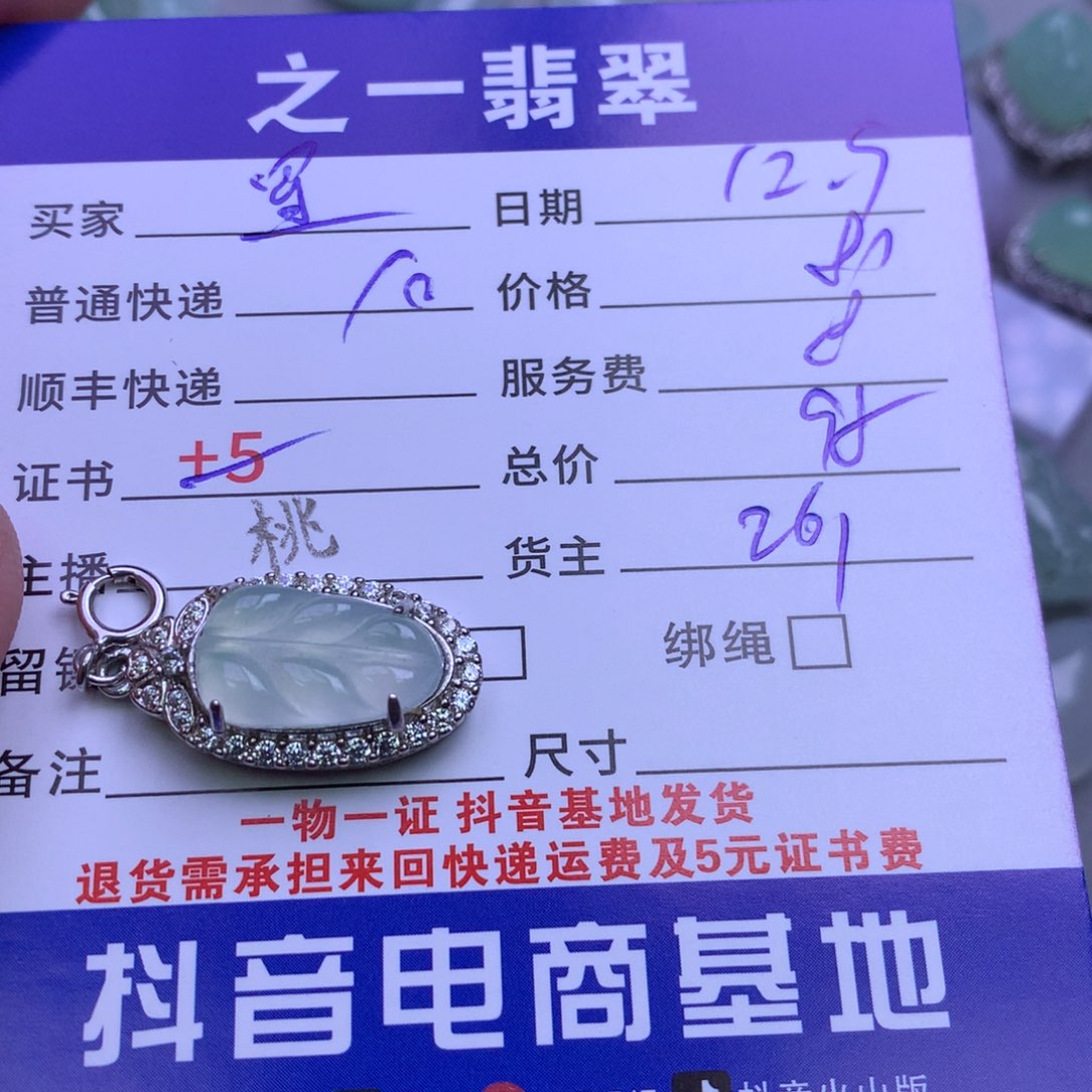 颈饰未镶嵌翡翠星***3