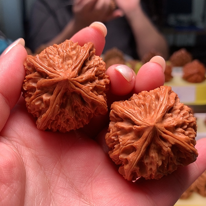 满天星四棱四棱四棱