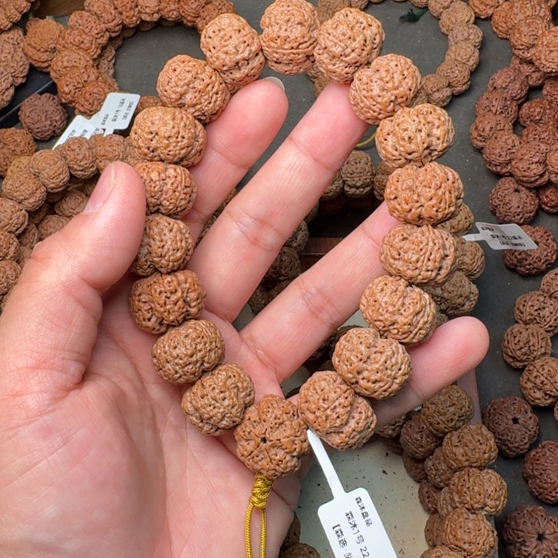 手串金刚菩提森沐1号22.5头货手持