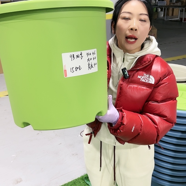 特价9号四季口46高40果绿4只无托