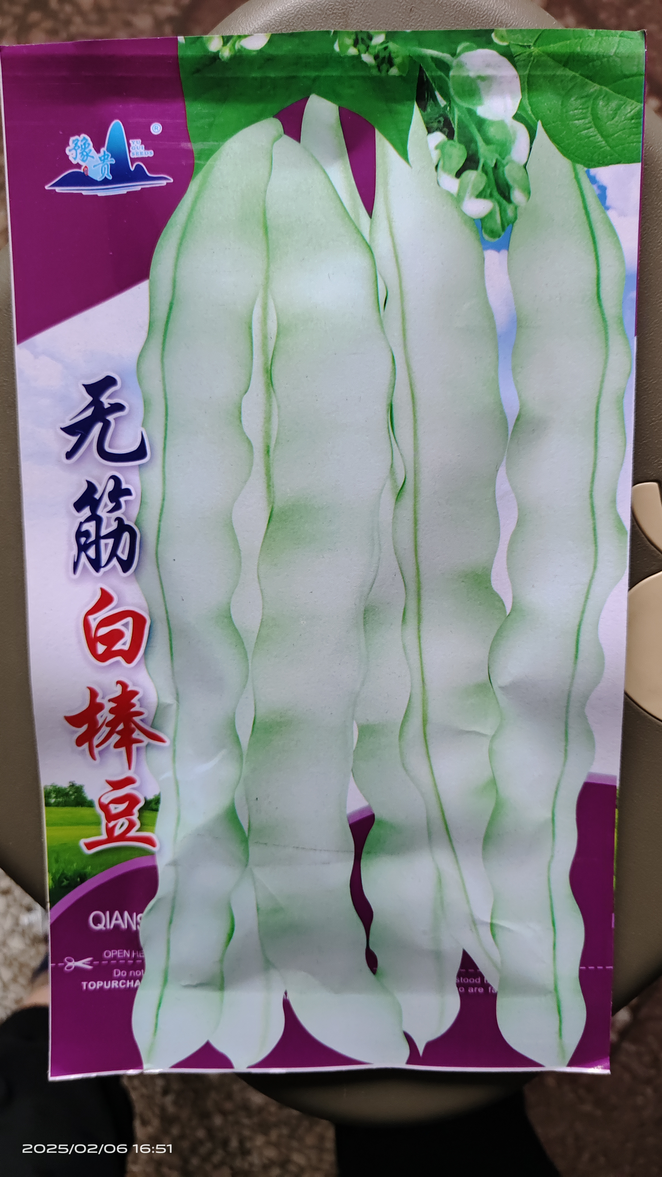 开春无筋白棒籽九粒白四季豆早熟白芸豆肉豆适合春种