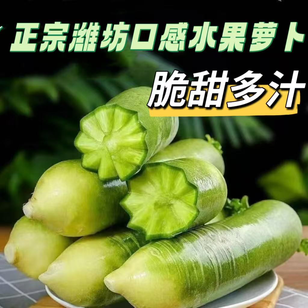 【张书记专属】潍坊口感水果萝卜清脆多汁产地直发净重5斤