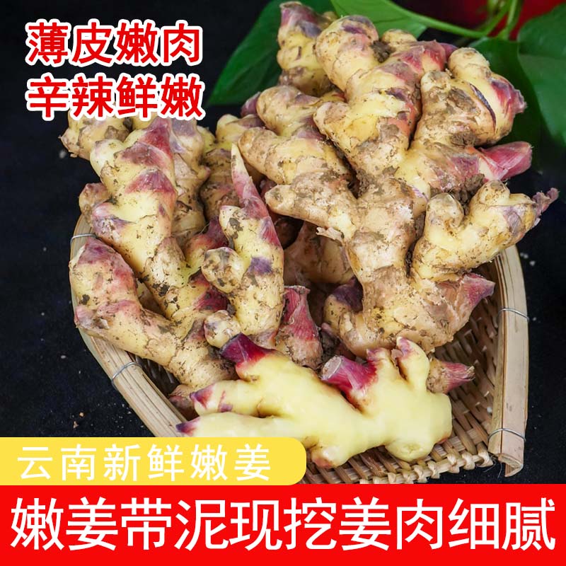 云南高山嫩姜新鲜现挖农户自种新姜新鲜蔬菜调味料带泥