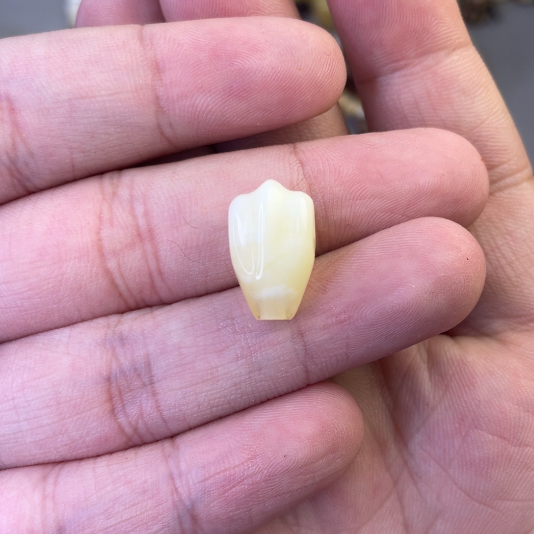 定制琥珀天然琥珀对孔10三通