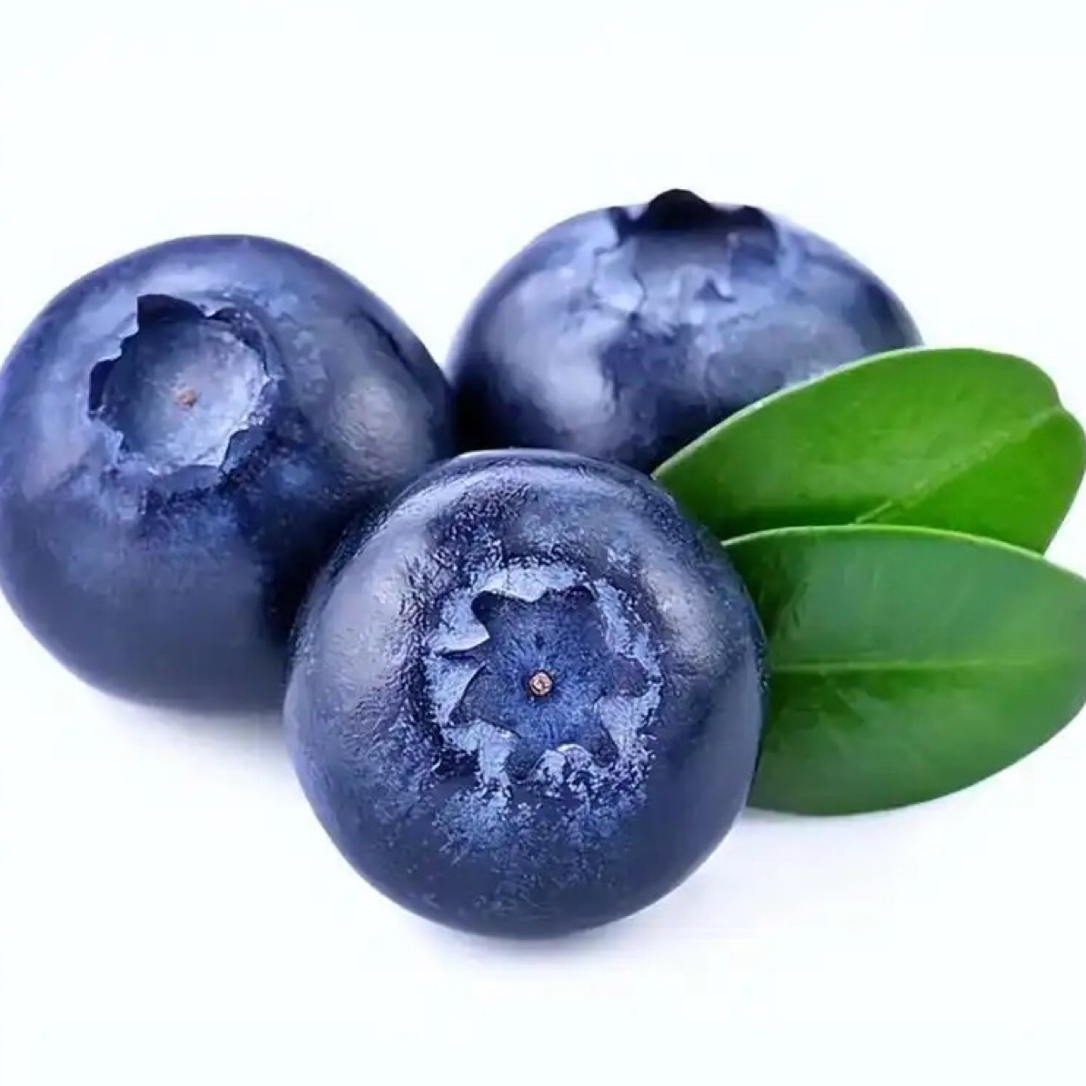 哈尔滨同城专享福利……云南花香蓝莓L25！嘎嘎甜！花香味