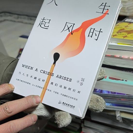 人生起风时精装库存书小微瑕介意