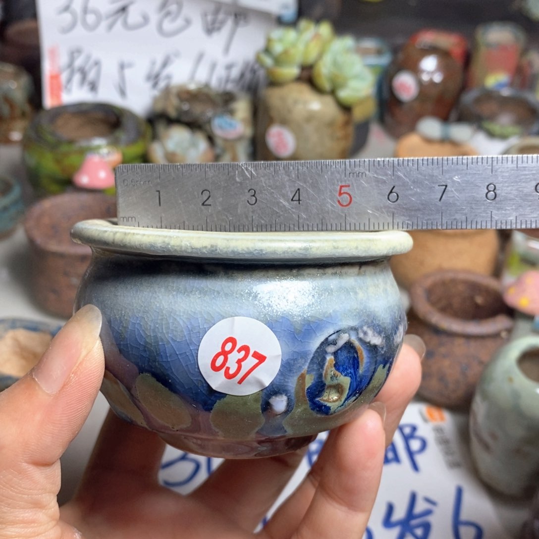拍3送一个小礼物
