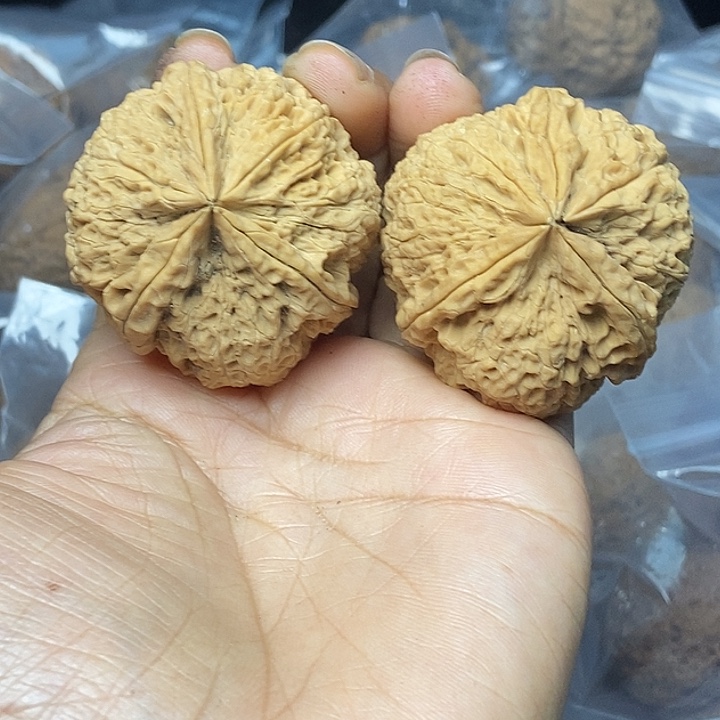 维****把件文玩核桃云南铁核桃基地101