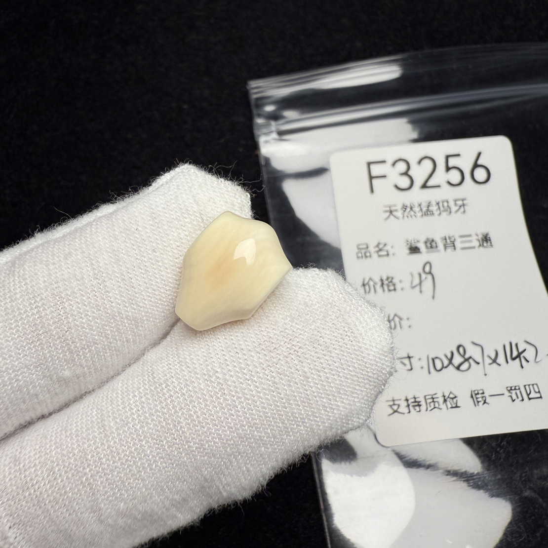 F3256天然猛犸象牙鲨鱼背三通冰料果冻料10*8.7*14.2mm