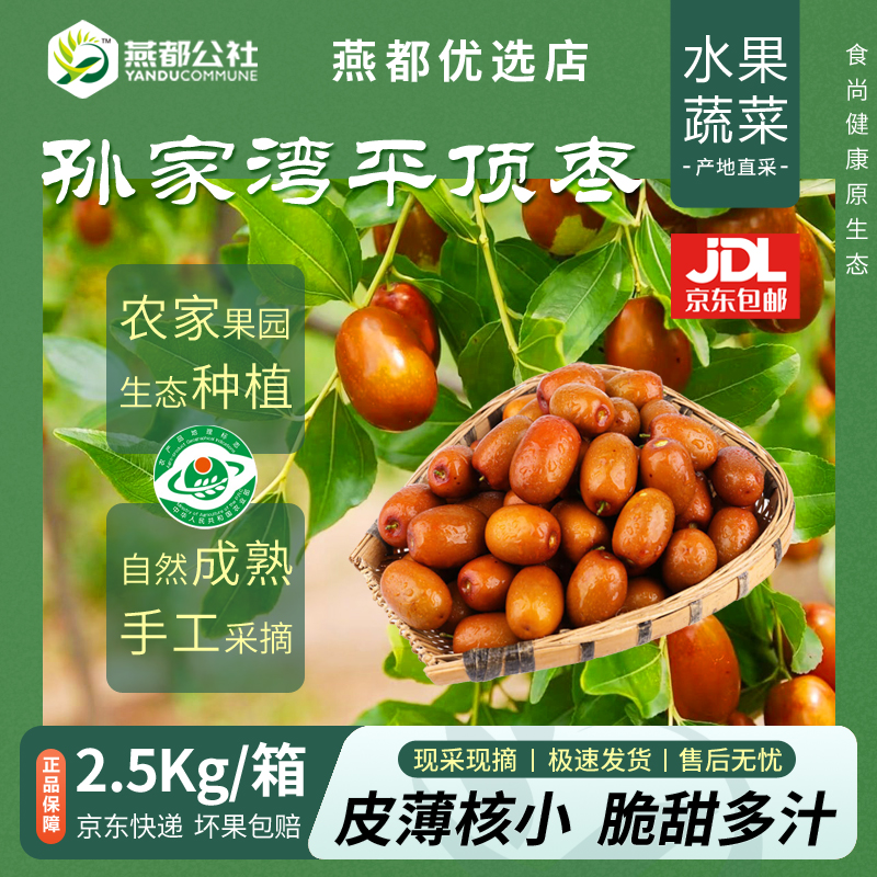 辽宁朝阳大枣孙家湾大枣平顶枣源产地生态种植皮薄肉厚鲜甜脆枣子